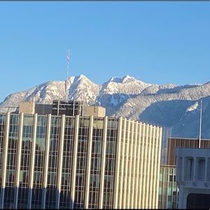 Meet your Posher, Bruce